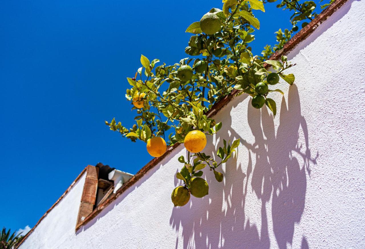 Villa Yanna Benalmadena Ngoại thất bức ảnh