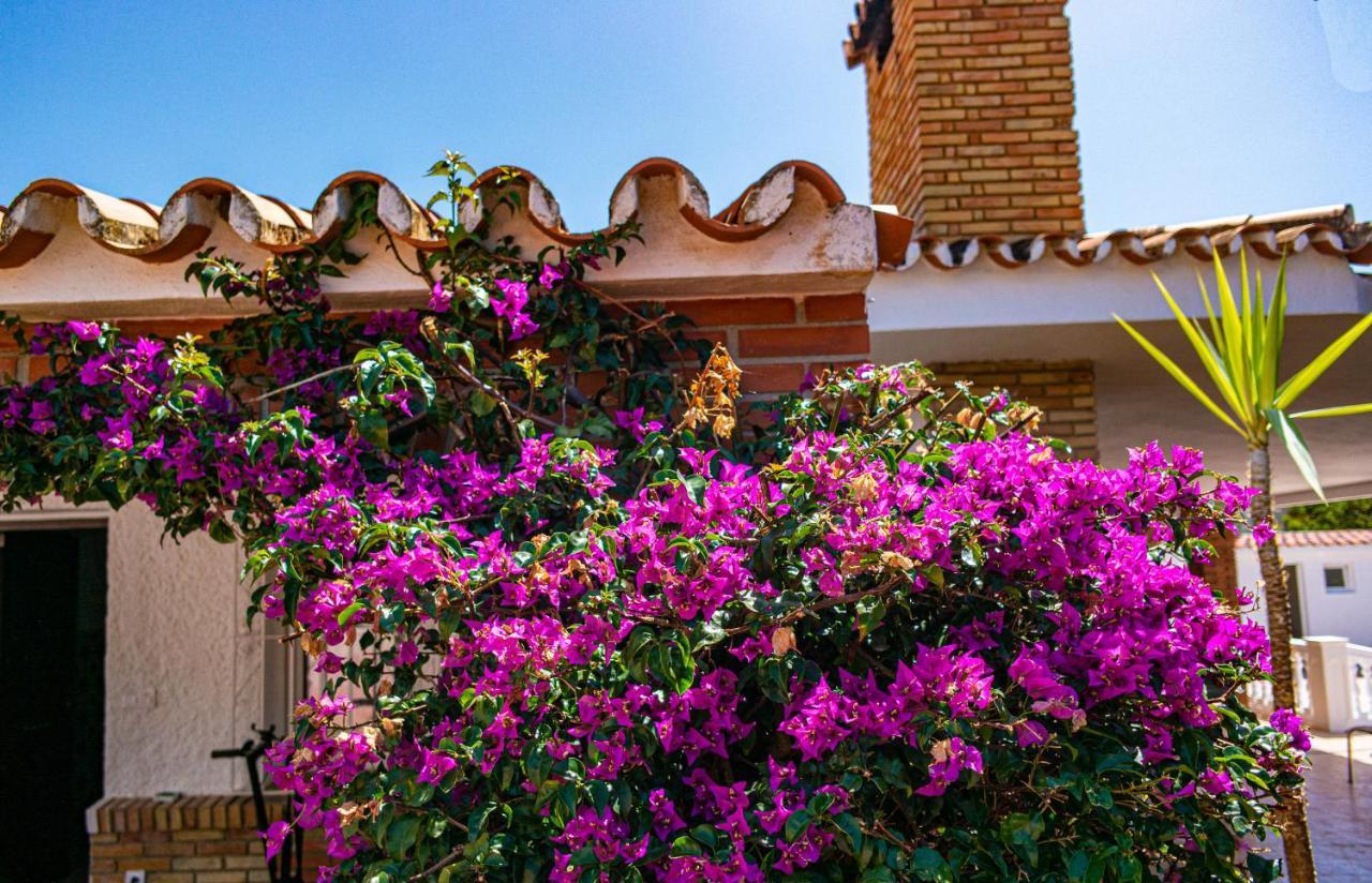 Villa Yanna Benalmadena Ngoại thất bức ảnh